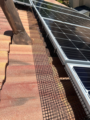 Bird Proofing Solar Panel Installation in Murrieta CA