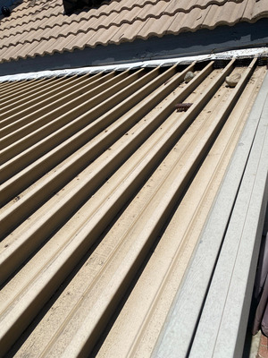 Bird Proofing Installation Service in Fontana CA