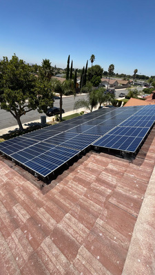 Solar Panel Bird Proofing in Rialto CA